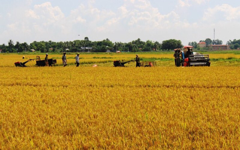 Thanh Hóa nâng cao chất lượng xây dựng nông thôn mới
