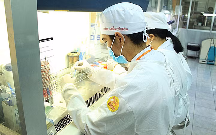 Đào tạo tại Trường Cao đẳng Viễn Đông Thành phố Hồ Chí Minh (Ảnh: viendong.edu.vn).