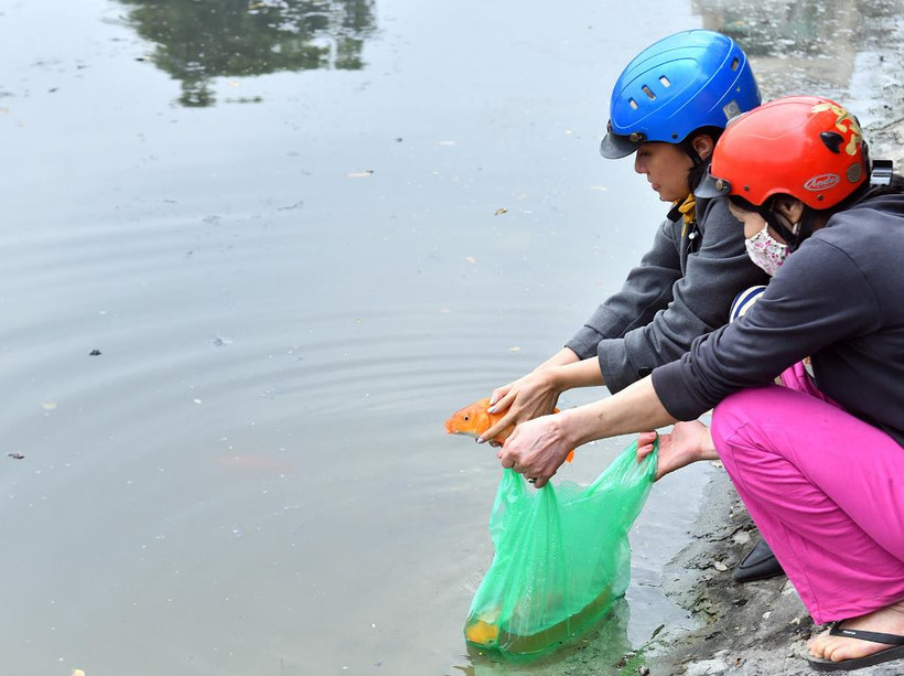 Người dân Hà Nội thả cá chép tiễn ông Táo về trời