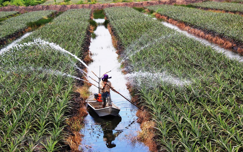 Ảnh minh họa. (Nguồn: TTXVN)