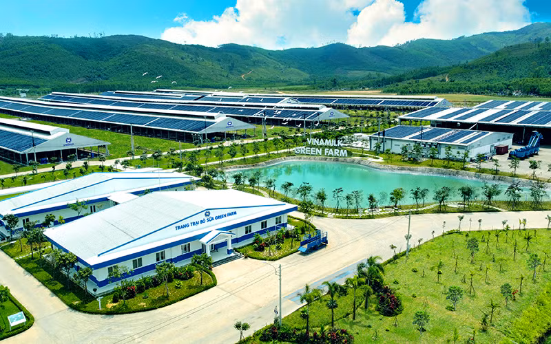 Mô hình trang trại sinh thái Vinamilk Green Farm được Vinamilk triển khai tại 3 tỉnh, thành phố, gồm: Thanh Hóa, Quảng Ngãi và Tây Ninh.