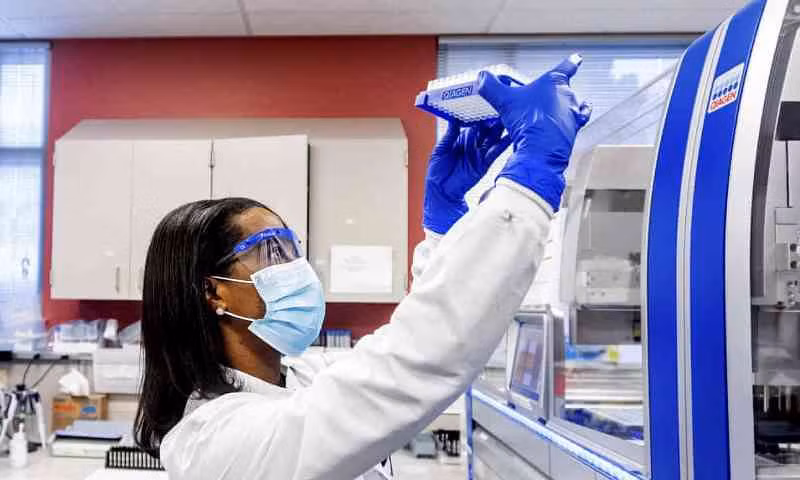 Một nhà khoa học quan sát các mẫu xét nghiệm lấy từ người nghi mắc Covid-19. (Ảnh: AP)