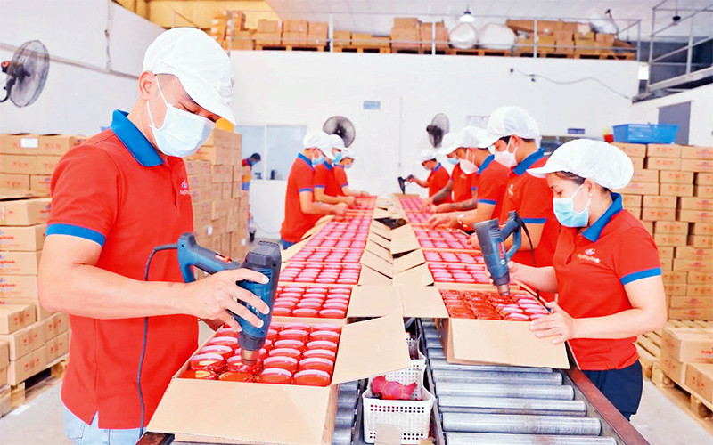 Lao động tại doanh nghiệp Sông Hương Food, TP Hồ Chí Minh. (Ảnh minh họa: Phương Vy)