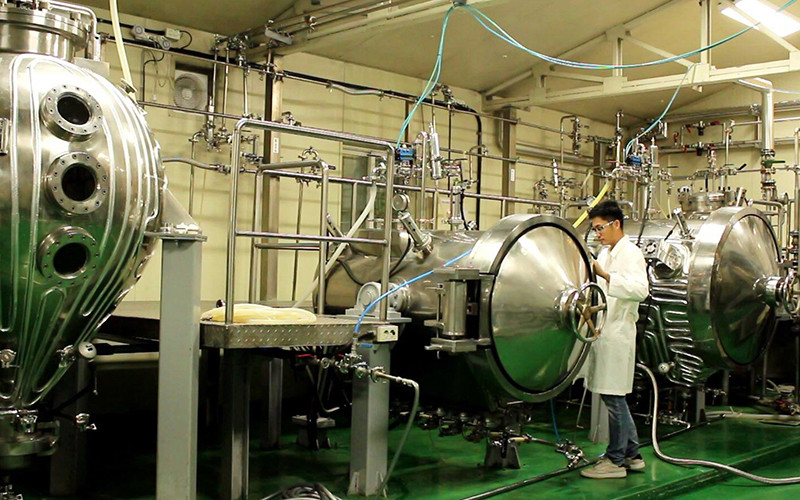 Tiến sĩ Hồ Thanh Tâm trong phòng nuôi cấy sinh khối tại Hàn Quốc.