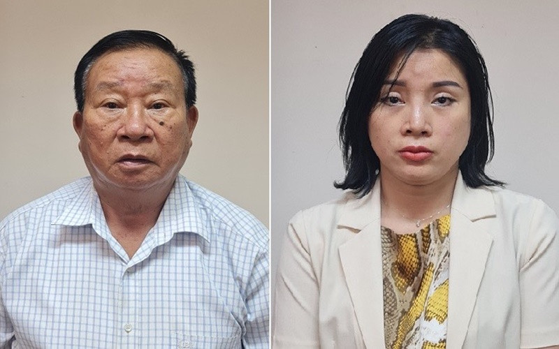 Hai bị can vừa bị khởi tố. 