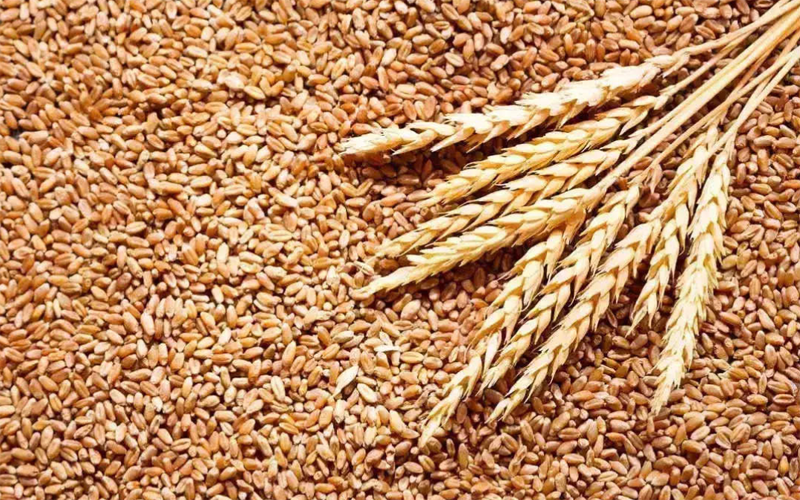 Ảnh minh họa. (Nguồn: Reuters)