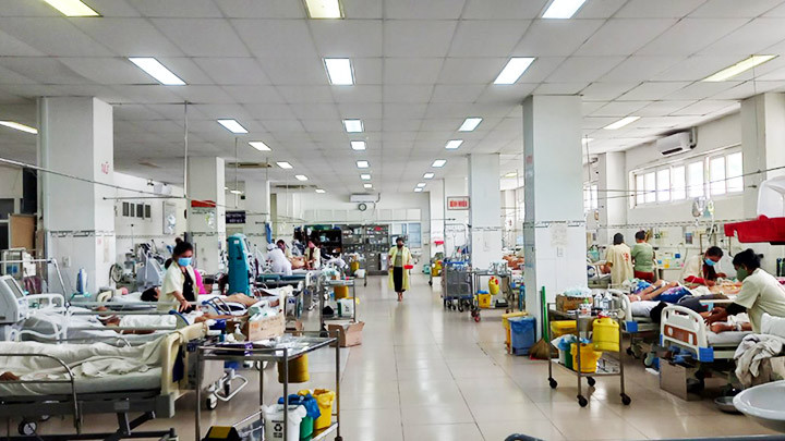 Phòng cấp cứu Bệnh viện Đa khoa Ninh Thuận đã tiếp nhận liên tục nhiều trường hợp bị rắn độc cắn.