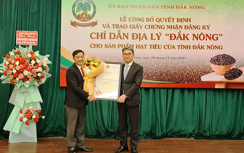 Lãnh đạo Cục Sở hữu trí tuệ trao Giấy chứng nhận đăng ký chỉ dẫn địa lý cho sản phẩm hạt tiêu Đắk Nông.