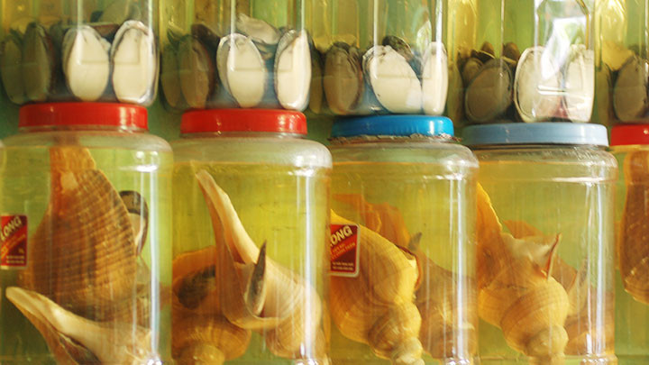 Các loại rượu ngâm được bán tràn lan.