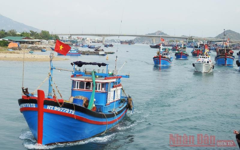 Tàu thuyền ở Ninh Thuận được thông báo và hướng dẫn di chuyển đến nơi tránh trú an toàn, tránh bão số 9. Ảnh: NGUYỄN TRUNG.