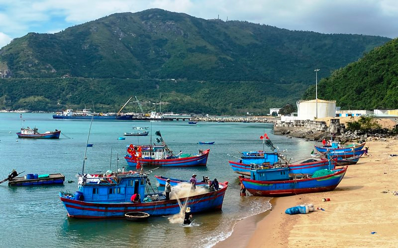 Bến cá Vũng Rô, nơi tàu cá thường neo đậu an toàn mùa mưa bão.