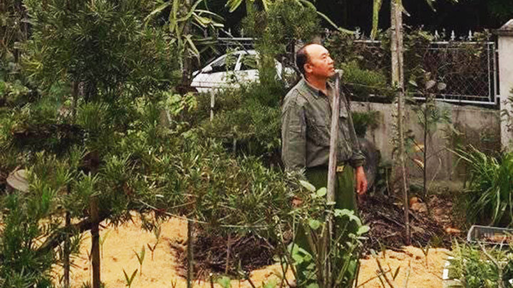 Bước ra từ cổ tích