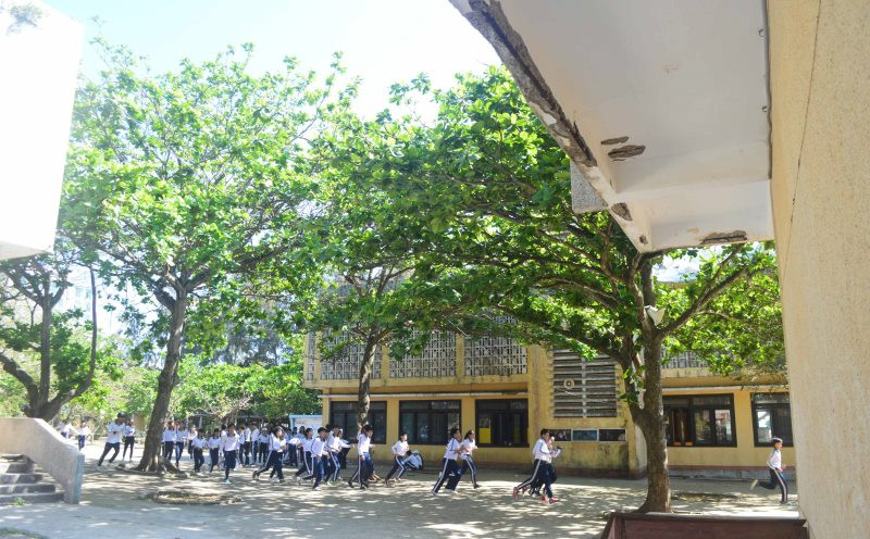 Học sinh các cấp ở Quảng Ngãi sẽ tựu trường vào ngày 1-9.