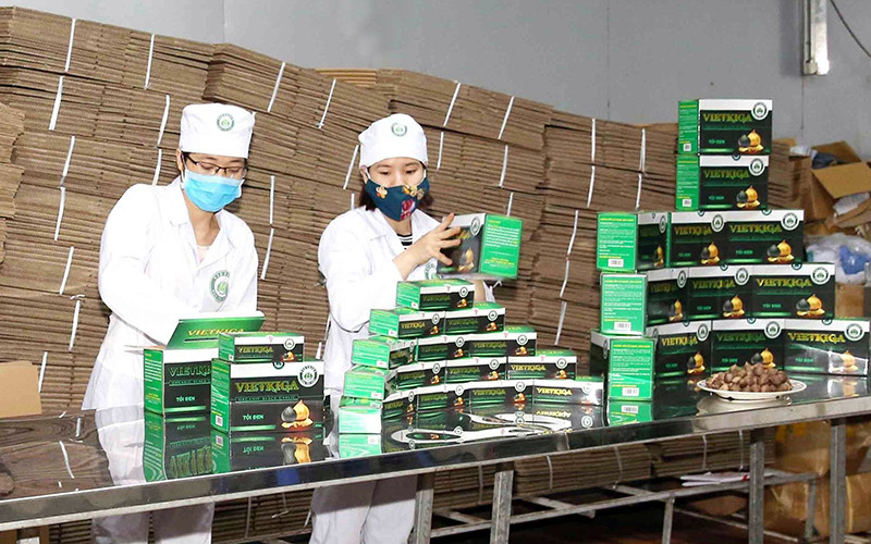 Công nhân Công ty TNHH Agrico (thị xã Kinh Môn, tỉnh Hải Dương) đóng gói tỏi đen. (Ảnh PHƯƠNG HOA) 