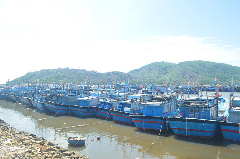 Tàu cá Quảng Ngãi vào bờ tránh trú bão số 9.