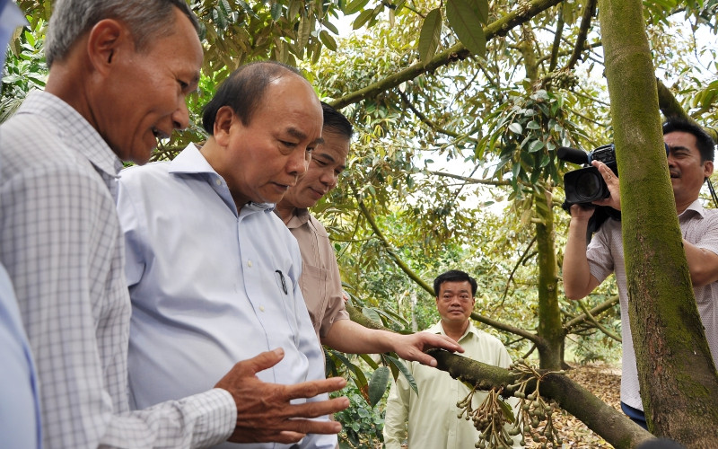 Thủ tướng Chính phủ Nguyễn Xuân Phúc đến thăm vườn sầu riêng ở huyện Cai Lậy và trò chuyện với nông dân.