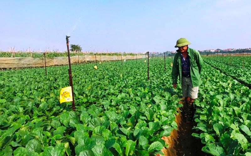 Dự án Thực phẩm nông nghiệp an toàn Việt Nam được thực hiện trong thời gian dự kiến từ năm 2022 đến năm 2027 với tổng vốn dự kiến khoảng 343,48 triệu USD.