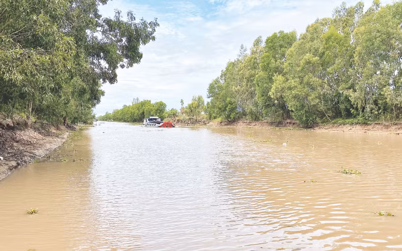 Kinh T5 tháo chua rửa phèn, thoát lũ và cũng là tuyến giao thông thủy quan trọng.