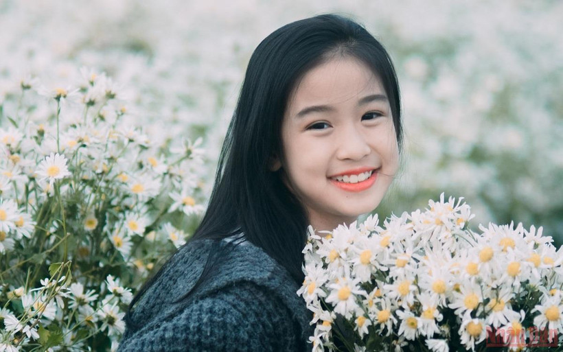 Hà Nội mùa "họa mi" xuống phố