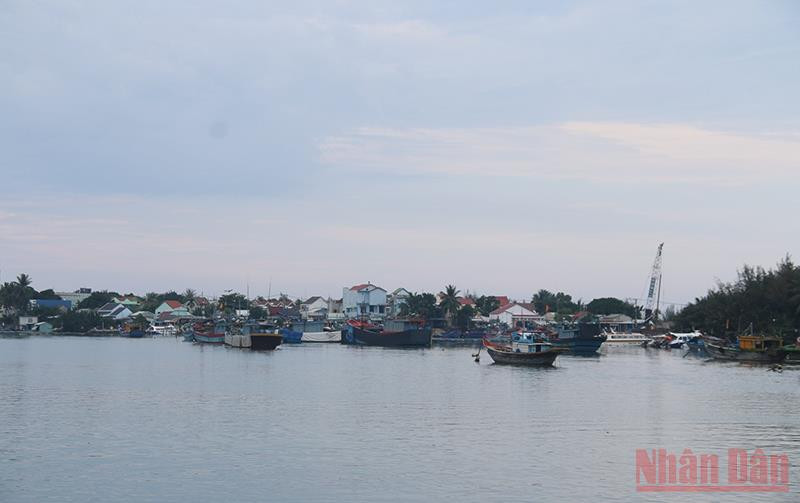 Nhiều tàu thuyền đã di chuyển vào rừng dừa Cẩm Thanh (Hội An) trú ẩn.