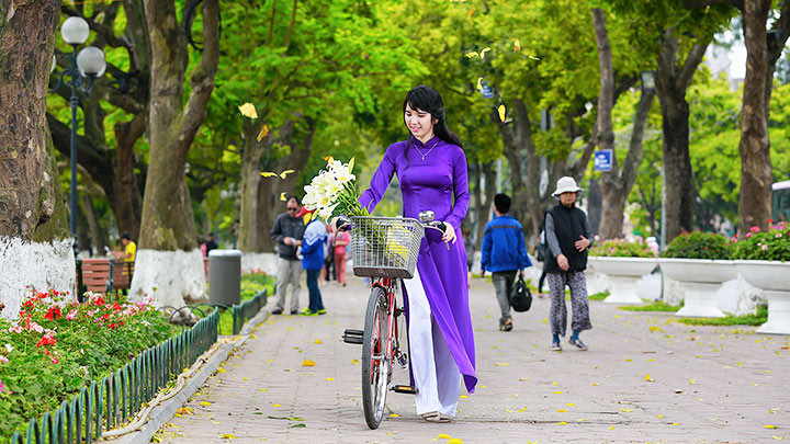 Nhớ cây Hà Nội