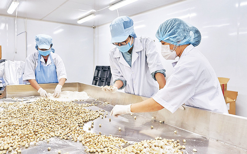 Lao động tại Công ty Ðất Phú, thành phố Hồ Chí Minh (Ảnh minh họa: Phương Vy).