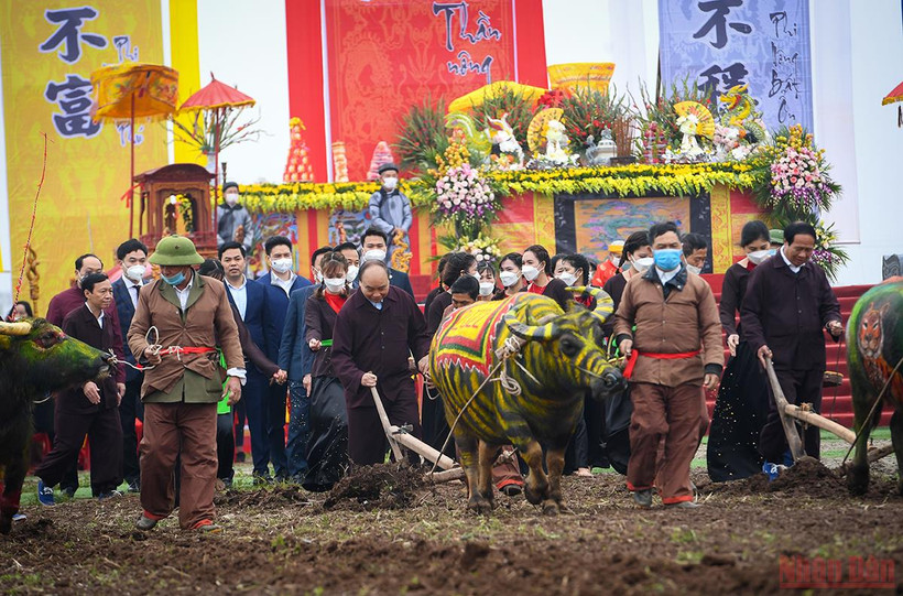 Chủ tịch nước Nguyễn Xuân Phúc xuống đồng cày ruộng đầu xuân năm mới. (Ảnh: THÀNH ĐẠT)