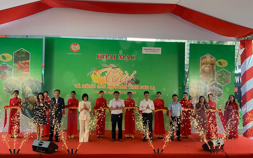 Lễ Khai mạc Tuần lễ xoài và nông sản an toàn tỉnh Sơn La. 