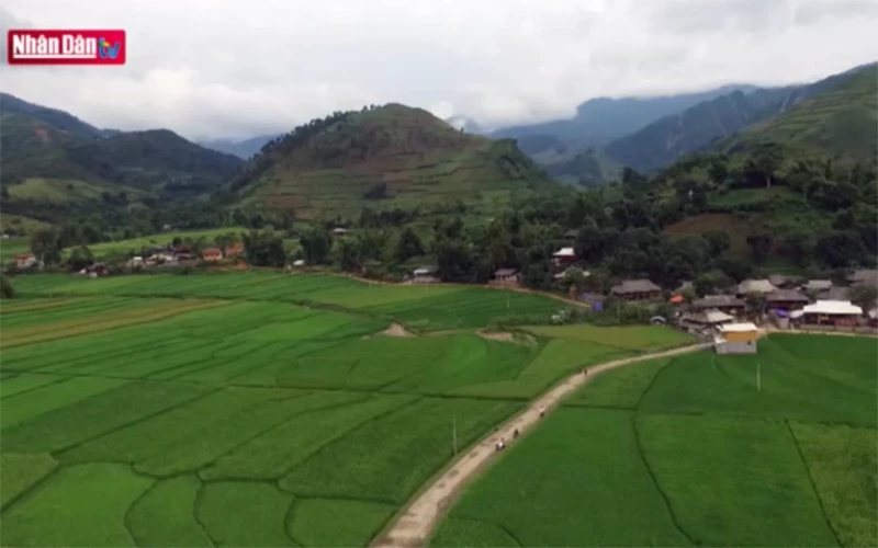 Mùa cốm Tú Lệ