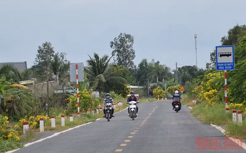 Tuyến lộ nông thôn được trồng hoa 2 bên đường ở xã Mỹ Đông.