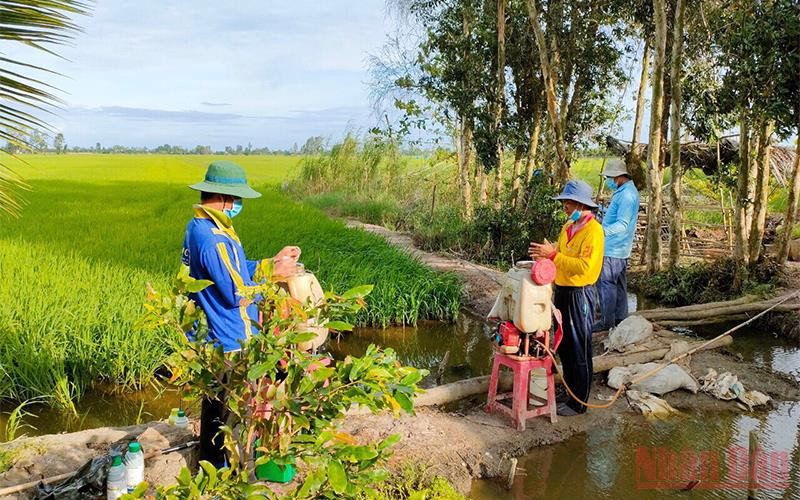 Hỗ trợ các tỉnh phía nam ổn định sản xuất trong bối cảnh dịch Covid-19 còn diễn biến phức tạp.