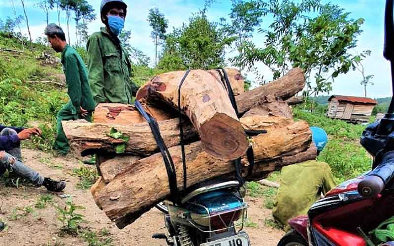 Lực lượng quản lý, bảo vệ rừng Khu BTTN Ea Sô bắt giữ, tịch thu phương tiện và tang vật đưa về đơn vị xử lý.