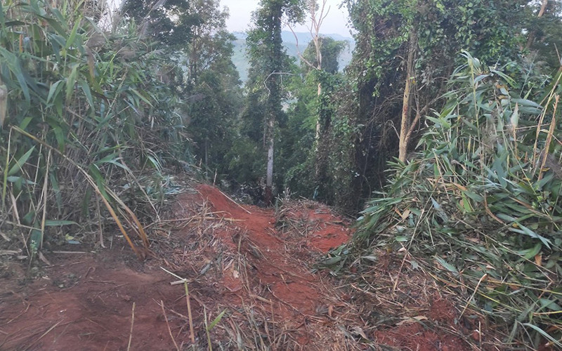 Hiện trường xảy ra tai nạn. (Ảnh do Ban An toàn giao thông tỉnh Gia Lai cung cấp)