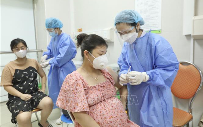 (Ảnh minh họa: TTXVN)