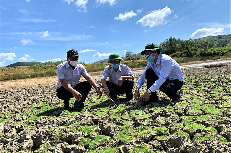 Hồ đập thủy lợi Ea Ktung, xã Krông Jing, huyện M’Đrắk đã khô cạn trơ đáy hơn 10 ngày nay.