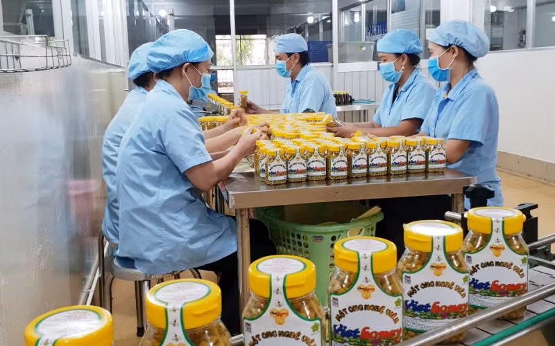 Công nhân đóng lọ viên nghệ mật ong Viethoney tại nhà máy.