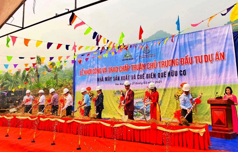 Khởi công nhà máy chế biến quế hữu cơ xuất khẩu tại huyện Văn Bàn - Lào Cai.