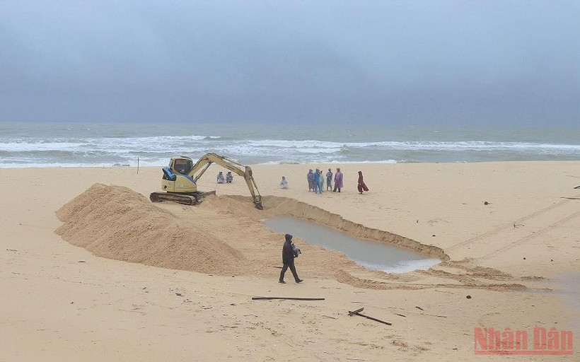 Sợ nước lũ làm chết cá nuôi trong vùng sông Lễ Thịnh, người dân thôn Phú Lương, xã Anh Ninh Đông, huyện Tuy An, Phú Yên tự vận động khơi thông cửa biển, nhưng rất khó khăn.
