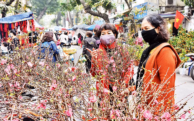 Chợ hoa đào Hàng Lược. Ảnh trong bài | TRẦN HẢI