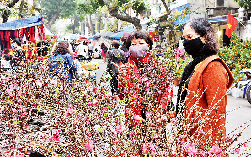 Chợ hoa đào Hàng Lược. Ảnh trong bài | TRẦN HẢI