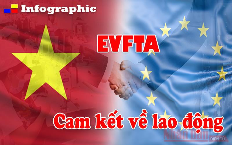 [Infographic] Cam kết về lao động trong EVFTA