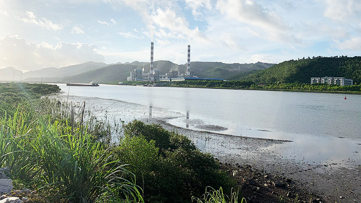 Bến đò Bang ngày ấy, nay lau lách kín bờ.