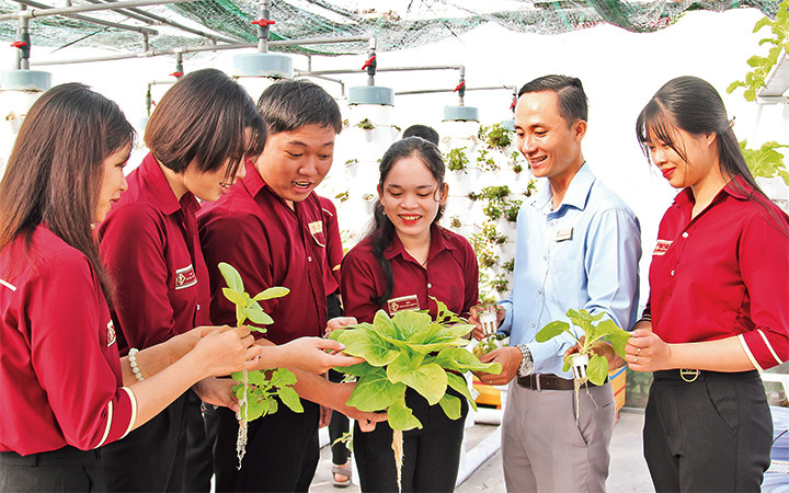 Thầy, trò Trường đại học Sư phạm kỹ thuật Vĩnh Long với các sản phẩm từ mô hình nhà lưới tự động.