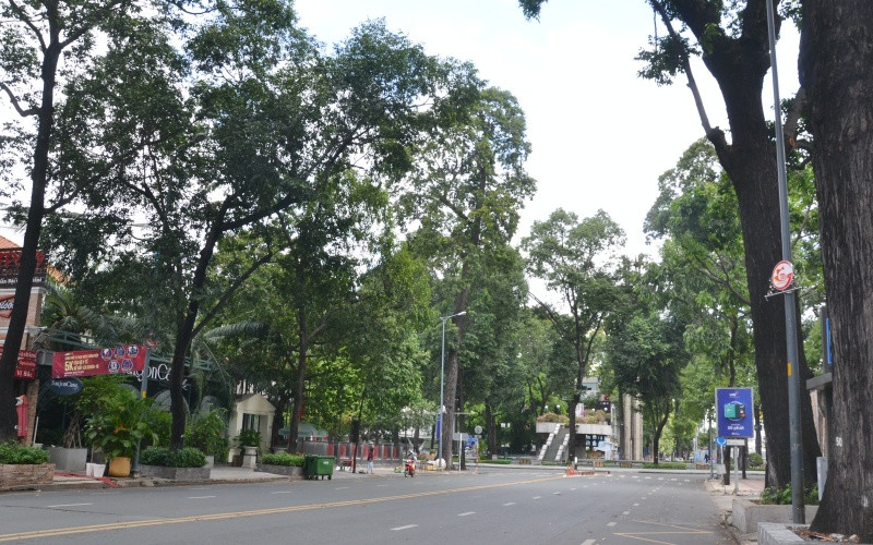 Thành ủy TP Hồ Chí Minh ra Chỉ thị khẩn tăng cường các biện pháp phòng, chống dịch