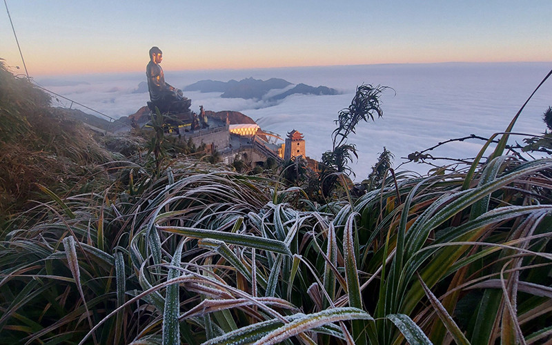 Sương muối phủ trắng núi rừng Phan Xi Păng (Sa Pa) ngày 21-12 vừa qua (Ảnh: Quốc Hồng)