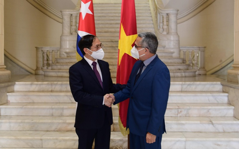 Bộ trưởng Ngoại giao Bùi Thanh Sơn và Quyền Bộ trưởng Ngoại giao Cuba Marcelino Medina. (Ảnh: Bộ Ngoại giao)