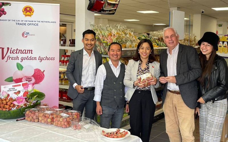 Doanh nghiệp Việt kiều hỗ trợ quảng bá quả vải. 