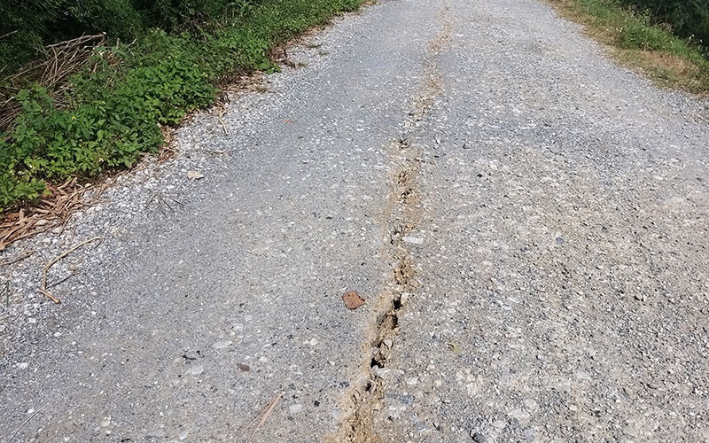 Hình ảnh nứt mặt đê tả Đáy đoạn qua hai xã Thanh Nghị, Thanh Hải, huyện Thanh Liêm (Hà Nam).