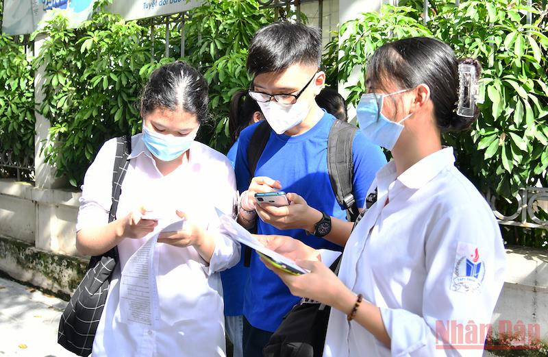 Ảnh minh hoạ: THUỶ NGUYÊN