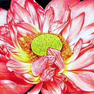 Chỉ cần nhìn nhị đã nhận ra hoa